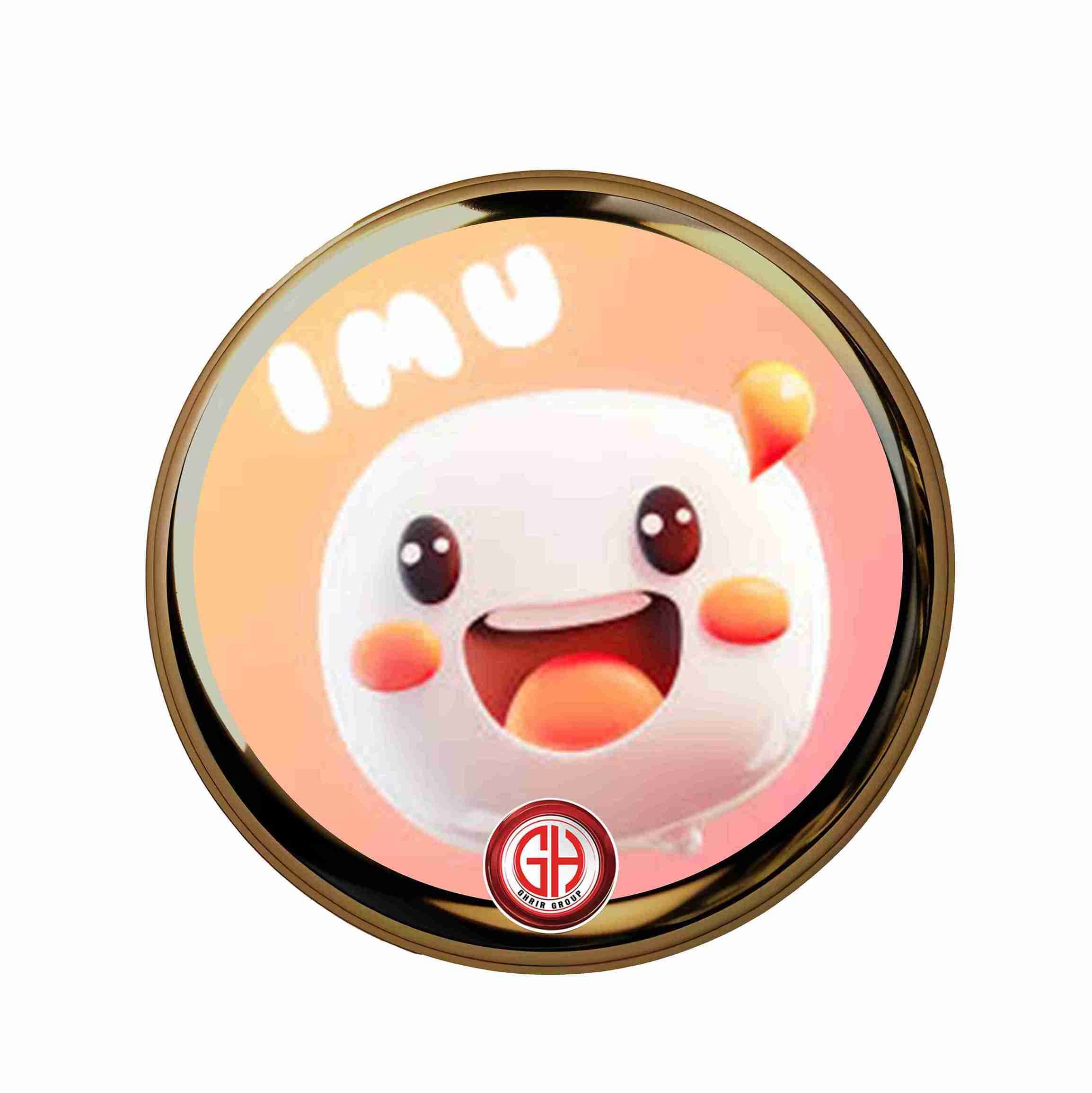 IMU CHAT