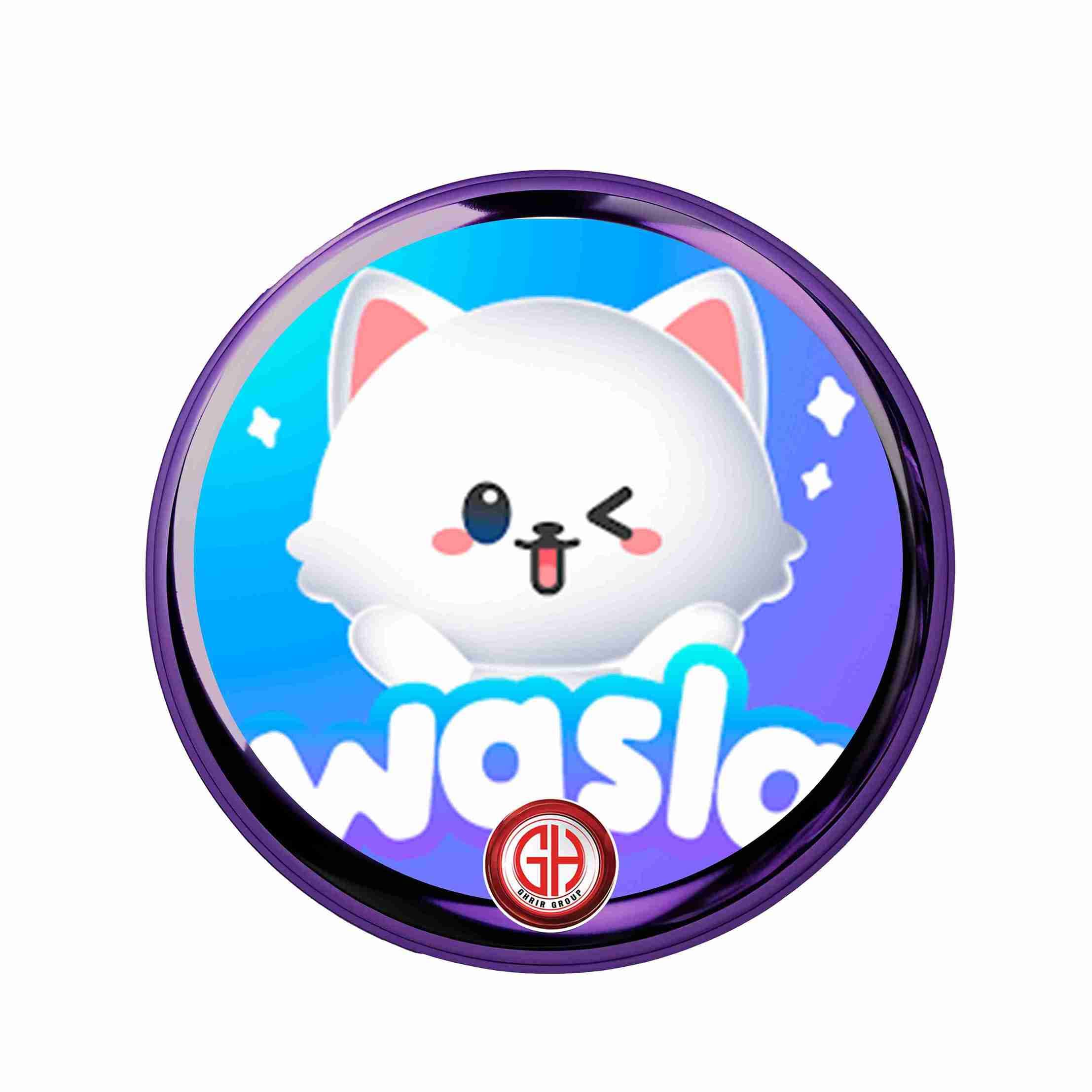 Wasla Chat